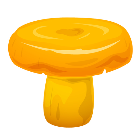 Lactarius edible mushroom, vector illustrationの写真素材