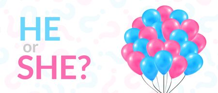 He or She party poster. Gender revealのイラスト素材