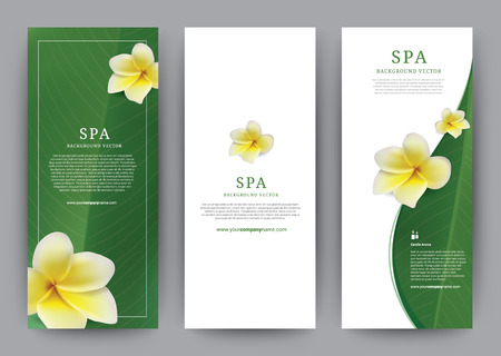 Template Banner Spa Frangipani flower, Green Leaf Modern design, brochure poster flyer leaflet, vector illustrationのイラスト素材