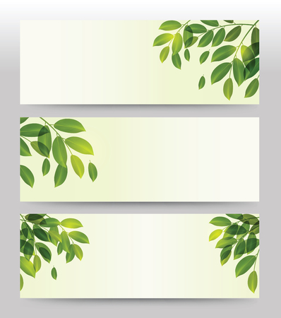 Spring Summer green plants and leaves banner set for Spa. Illustration vector.のイラスト素材