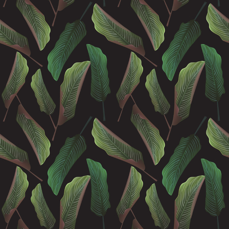 Background palm coconut  tree leaf nature background, banner voucher, spring summer tropical, vector illustrationのイラスト素材