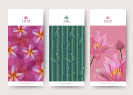 Branding Packaging loust and frangipani flower and bamboo tree abstract background, logo banner voucher, vector illustrationのイラスト素材