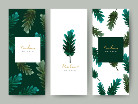 Branding Packageing leaf nature background, logo banner voucher, spring summer tropical, vector illustrationのイラスト素材