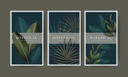 Set of minimal banner for branding packaging. Tropical summer plant and leaf with shadow background. For spa resort luxury hotel, yoga, beauty, cosmetic, organic texture. vector illustration.のイラスト素材