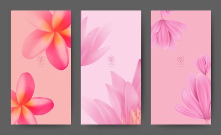 Branding Packageing Pink Soft blossom Flower nature background, logo banner voucher, spring summer tropical, vector illustrationのイラスト素材