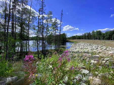 beautiful nature of the north. Karelia. Russia. Lake view on a summer day with a blue sky with...
