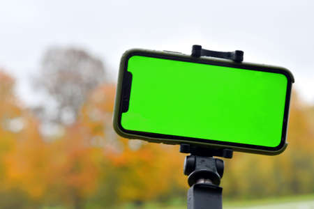 green screen of an Phone on a tripod on a blurred autumn backgroundの写真素材