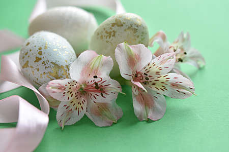 easter background delicate flowers of pink color in the egg shell on a green background. Easter...
