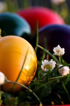 Easter eggs in grass basket