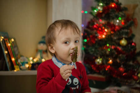 Child opening present at Christmas tree at home. Little baby boy sweet. Surprise, celebration.の写真素材