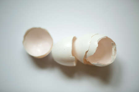 Leftover eggshell close-up on a white background.の写真素材