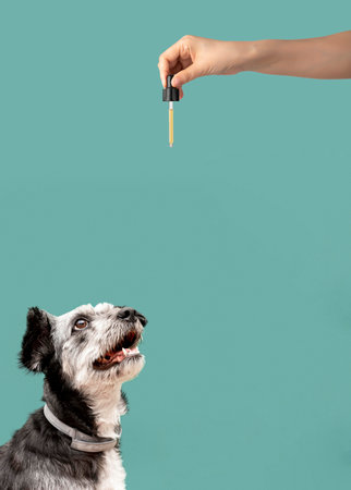 cropped view of woman holding pipette and dog looking at itの写真素材