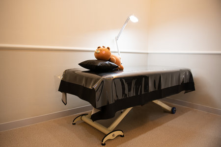 Interior of a modern massage room with a bed and a teddy bearの写真素材