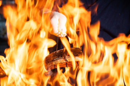 Barbecue with fire and flames on a black background. Picnic.の写真素材