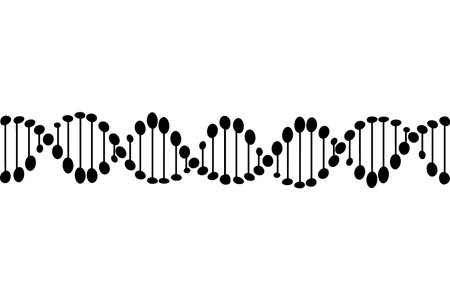 DNA molecule. Vector illustration on a white background. The structure of the DNA molecule.のイラスト素材