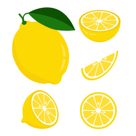 Lemon set isolated on white background. Vector illustration in flat style.のイラスト素材