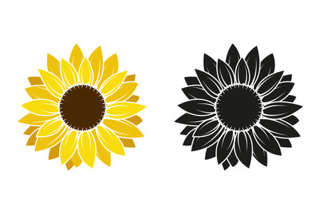Sunflower icon vector. Sunflower icon vector. Sunflower icon vectorのイラスト素材
