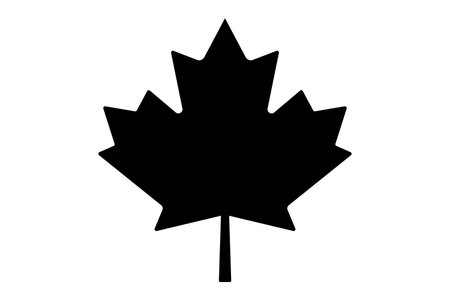 Maple leaf icon. Black silhouette on a white background. Vector illustration.のイラスト素材