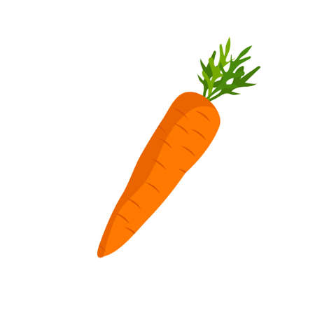 Crunchy carrot vector icon on white background.のイラスト素材