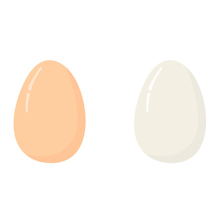 Eggs on white background. Vector illustration in flat style.のイラスト素材