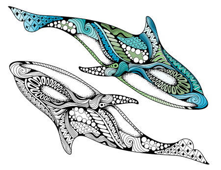 Ethnic animal doodle detail pattern - killer whale  illustration. Hand drawn Orcinus orca isolated on white background for adult anti-stress coloring book pagesのイラスト素材