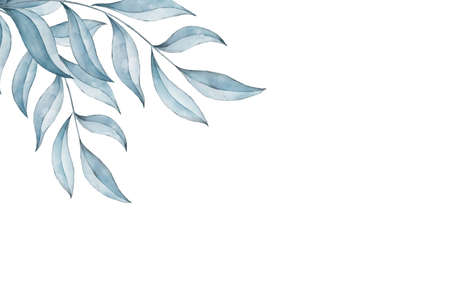 Blue watercolor branch with leaves isolated on white backgroundの写真素材