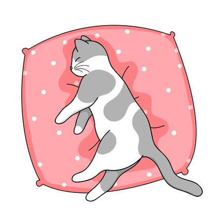 Cute cartoon domestic cat sleeping on a pillow. Isolated on white vector illustration. Animal nature icon, flatのイラスト素材