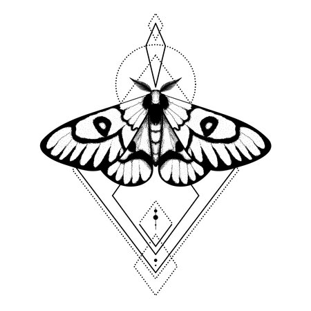 Vector moth, mystic symbol and signs with geometric ornament. Witchcraft, occult, alchemical signs. Butterfly moth vintage engraved styleのイラスト素材