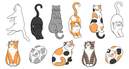 Cute cartoon colorful smiling cats in different poses. Vector cat set isolated on white backgroundのイラスト素材