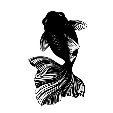 Asian traditional ornamental golden fish vector silhouetteのイラスト素材