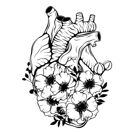 Realistic human heart line art vector. Heart disease, health issues, heart attack, love, romantic, wedding conceptのイラスト素材