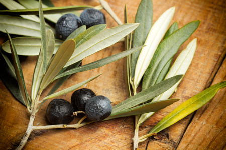 Olives and olive leavesの写真素材
