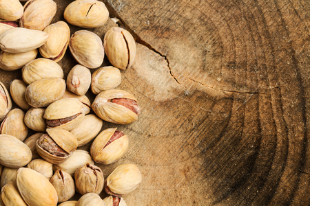 Pistachios on a tree trunkの写真素材