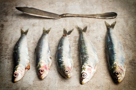 Fresh sardines ready to cook a good dishの写真素材