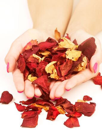 Woman with dry rose petals in her handsの写真素材