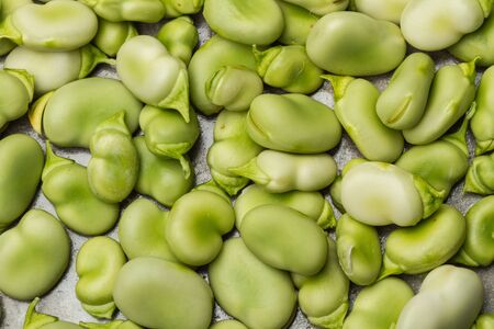 Broad beans in a close up viewの写真素材