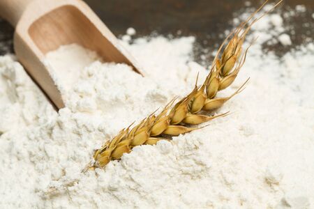 Flour and a wooden spoonの写真素材