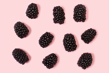 Blackberries on a pink background in a top viewの写真素材