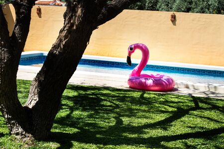 Inflatable pink flamingo near of a swiming pool in a sunny day