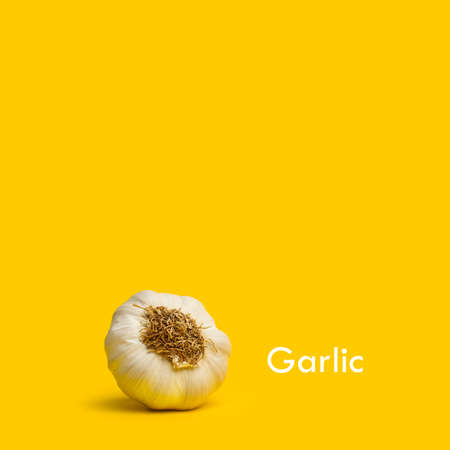 Man hand holding a halved coconut with a small green umbrella in the beach close to the seaの写真素材