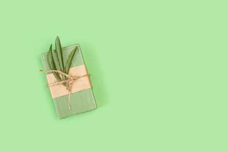 Green soap bar with olive leaves on a green background in a top viewの写真素材