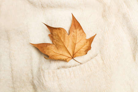 A dry leaf on a white wool sweater in a top view