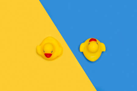 Two yellow toy ducks on a yellow and blue background