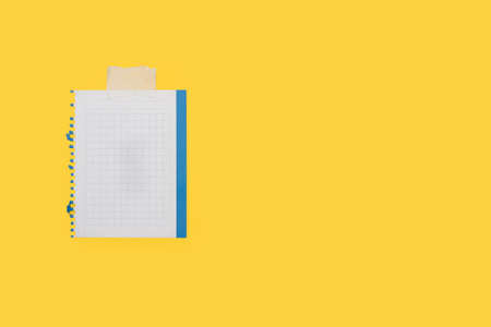A sheet of graph paper on a yellow background with copy space