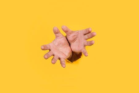 Man both hands with claw gesture through a hole in a yellow backgroundの写真素材