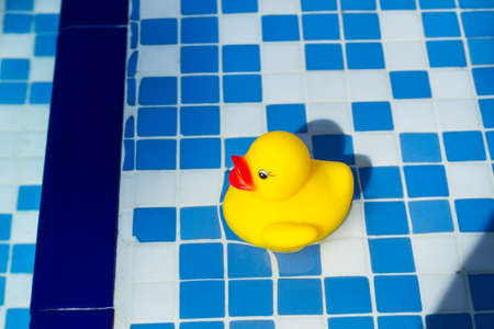 A yellow rubber duck on the water in a swimming poolの写真素材