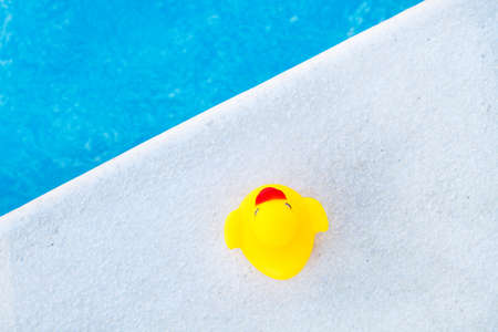 Yellow rubber duck in the edge of a swimming poolの写真素材