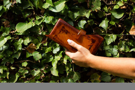 Woman hand holding a women purse in front of a creeper plant