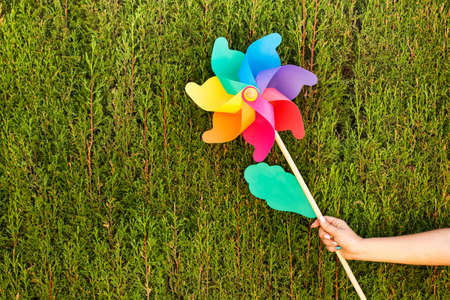 Woman hand holding a colored big pinwheel on a cypress background with copy spaceの写真素材