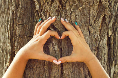 Woman hands with heart shape in front of a tree trunk